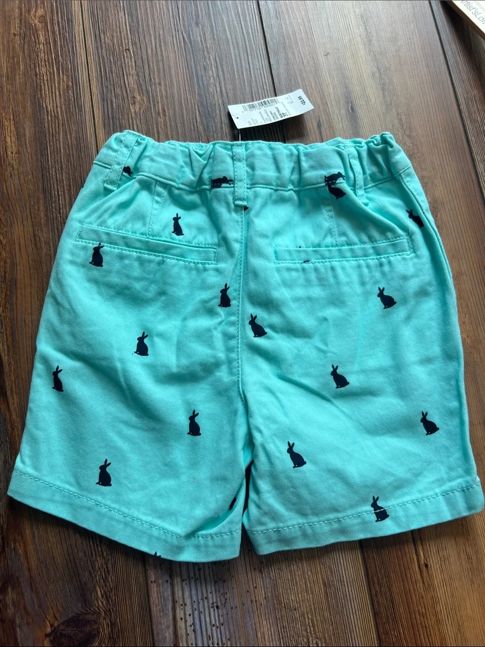 The Children's Place Teal Shorts with Navy Bunny Print